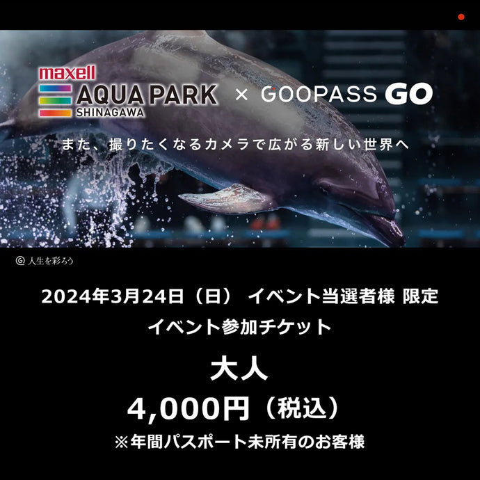 No.01【大人※年間パスなし】マクセル アクアパーク品川×GOOPASS GO撮影